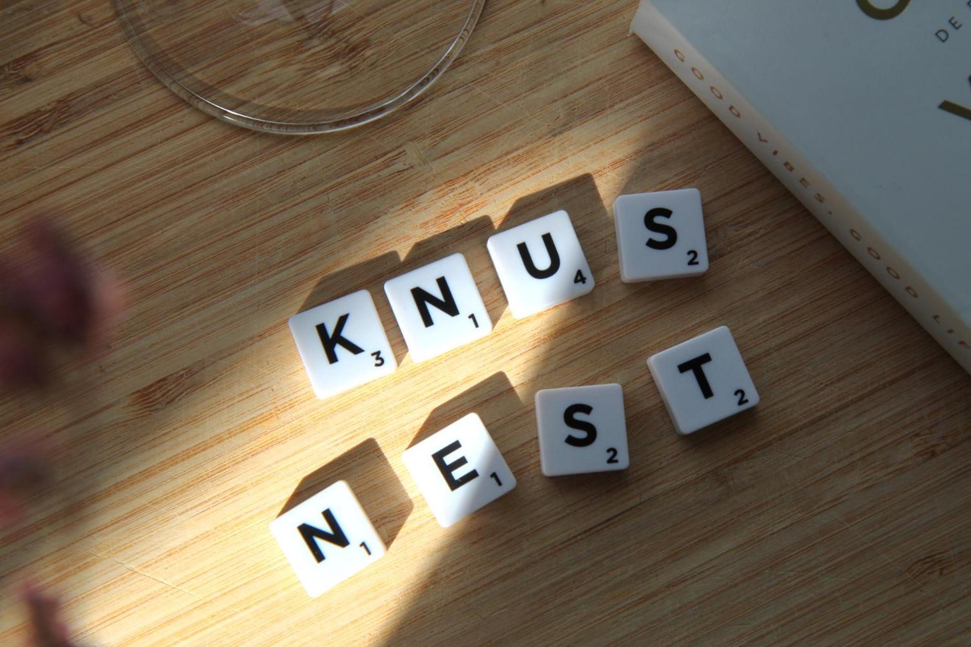 Buitenverblijf Nest Άρνεμ Εξωτερικό φωτογραφία